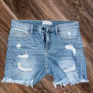 A whole bundle of medium and large